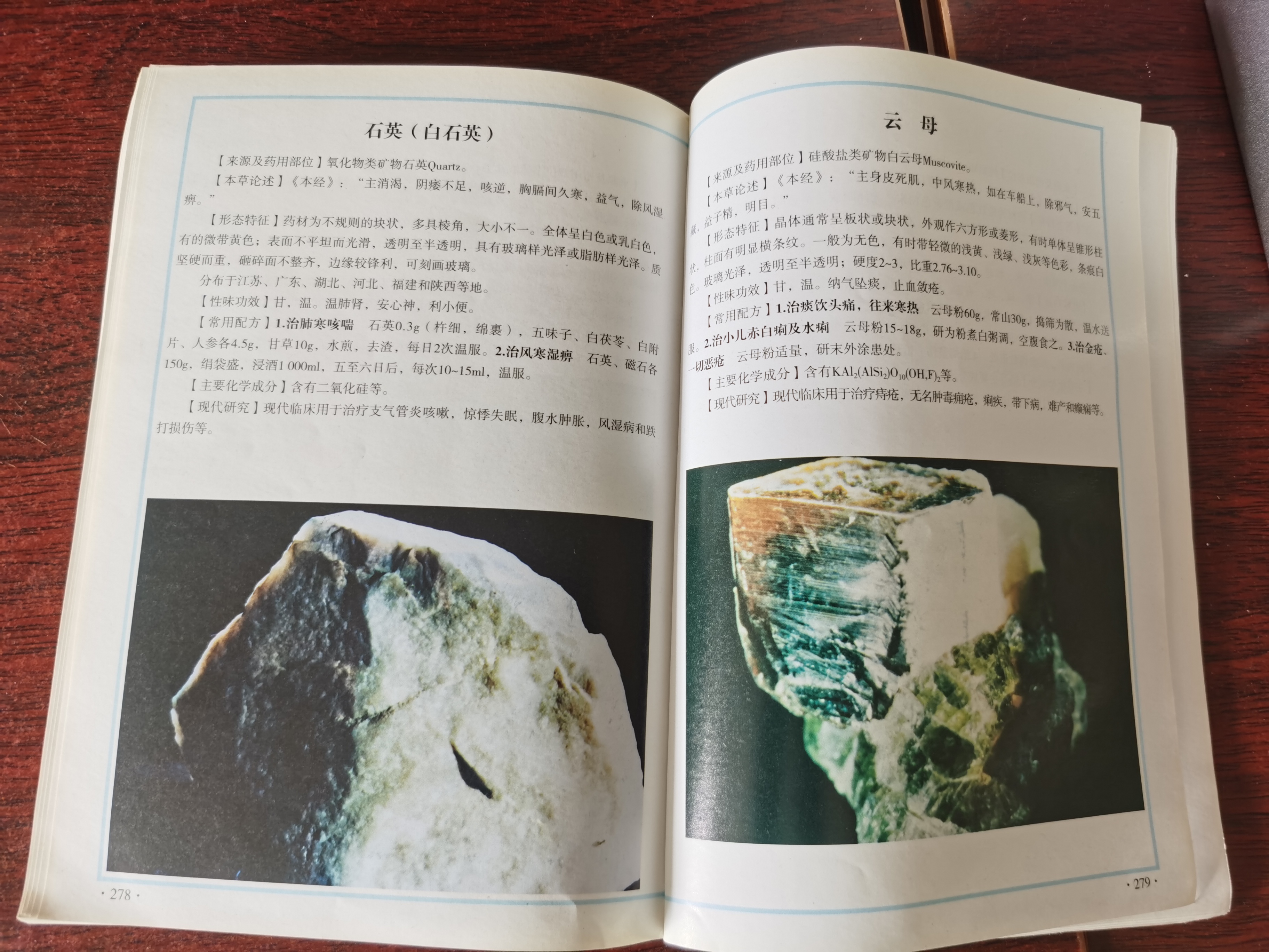 鹤赫中医知识大分享——安然书店(图5)